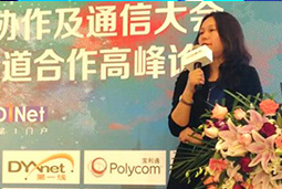 mg冰球突破出席“2017 CCS云盘算渠道相助岑岭论坛”