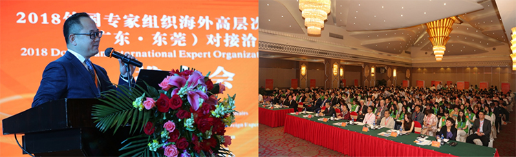 mg冰球突破·豪华版(试玩)官方网站