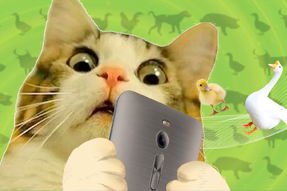 FRIDAY专栏 | 被憋疯的职场人，养起了猪牛羊鱼鸟...