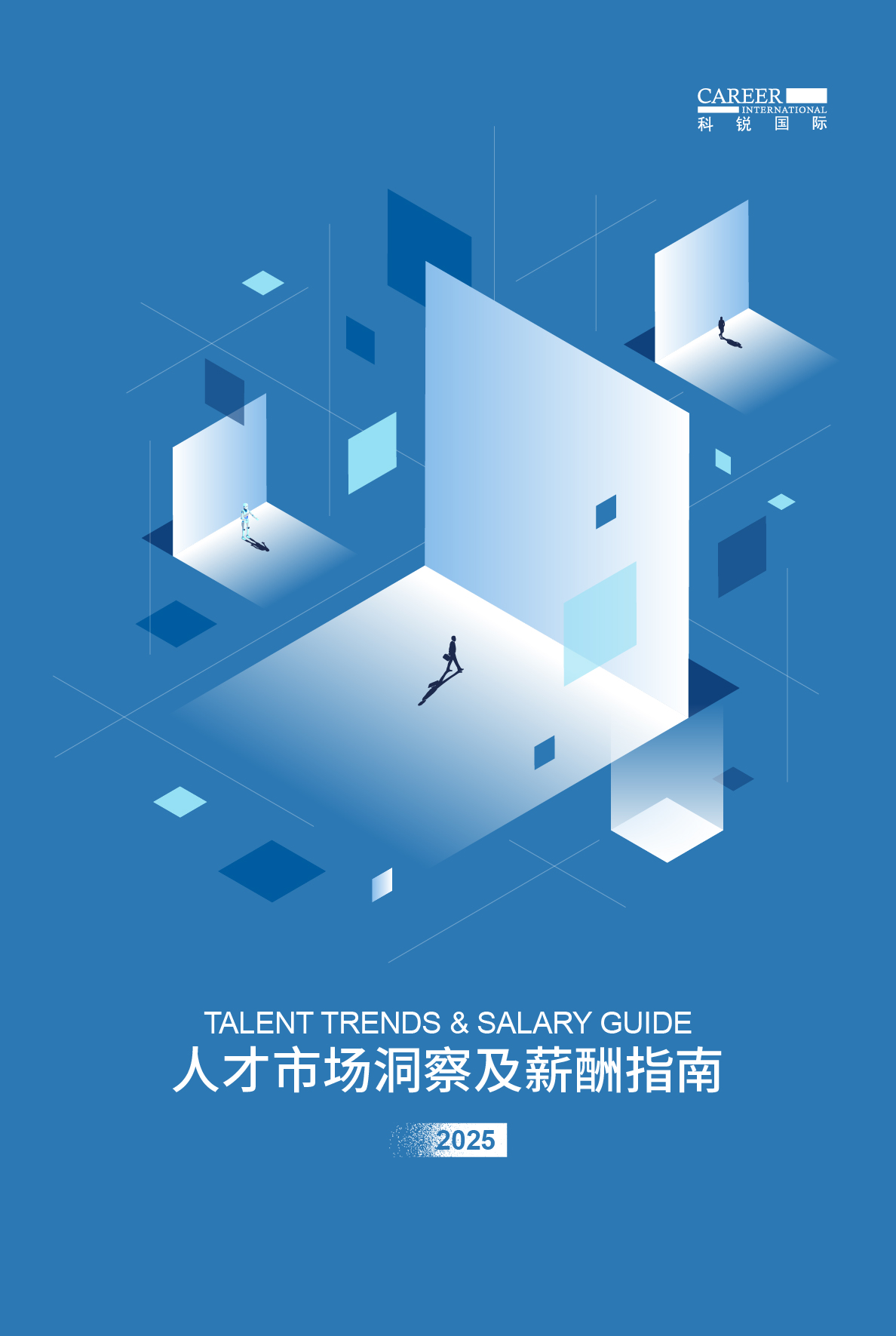 2025mg冰球突破人才市场洞察及薪酬指南