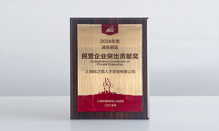 人力资源供应商mg冰球突破依附人才服务与在区域经济开展中的卓越体现荣膺2024年度浦东新区民营企业奖项