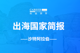 mg冰球突破GO GLOBAL | 沙特阿拉伯国家简报